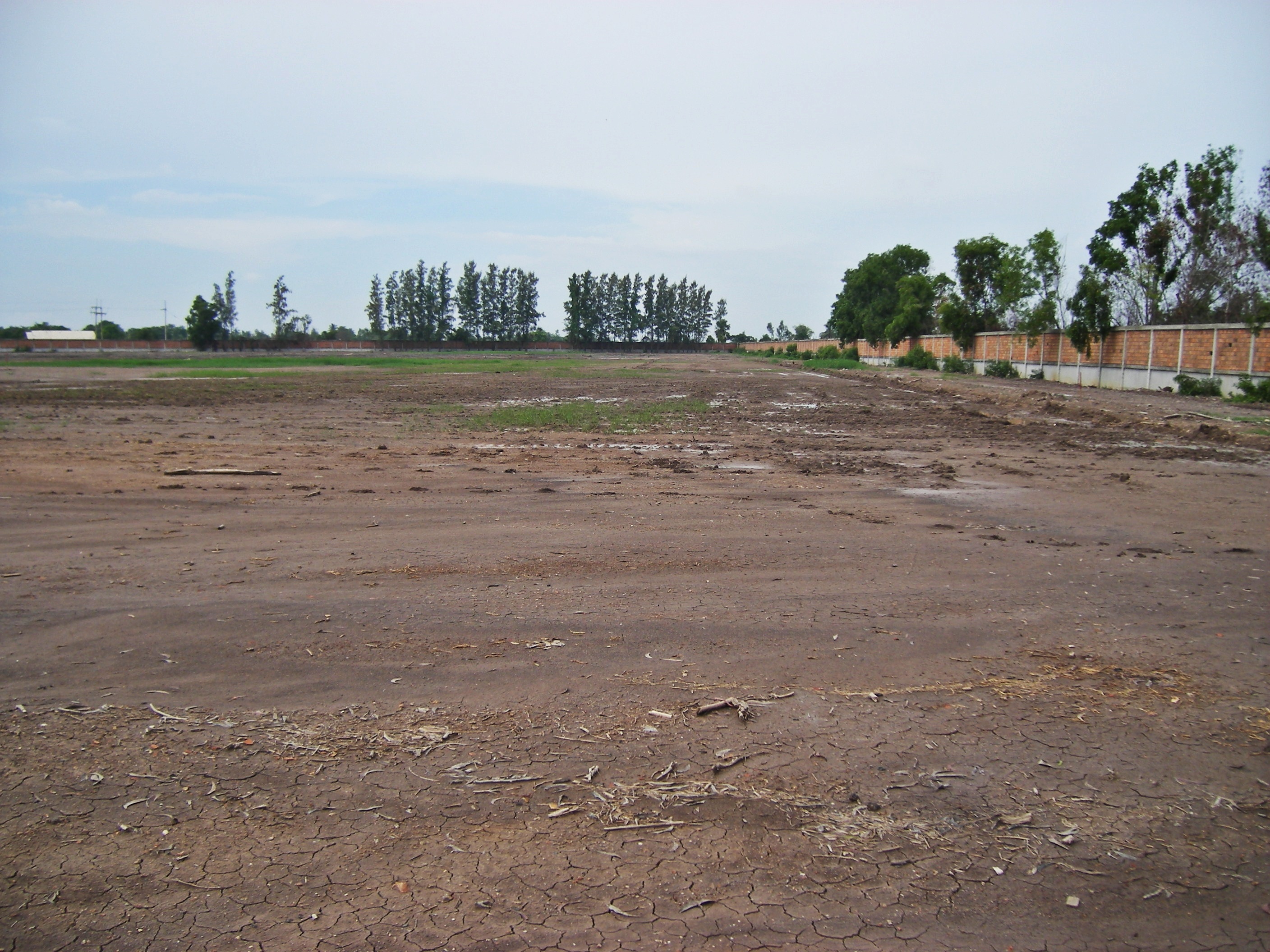 IMGP0682.JPG